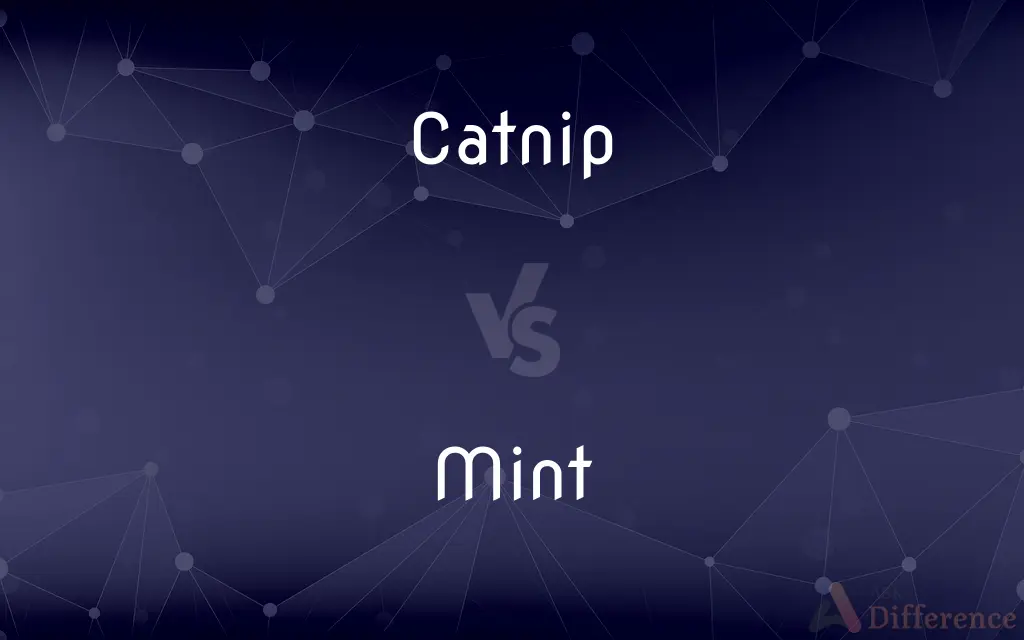 Catnip vs. Mint — What's the Difference?
