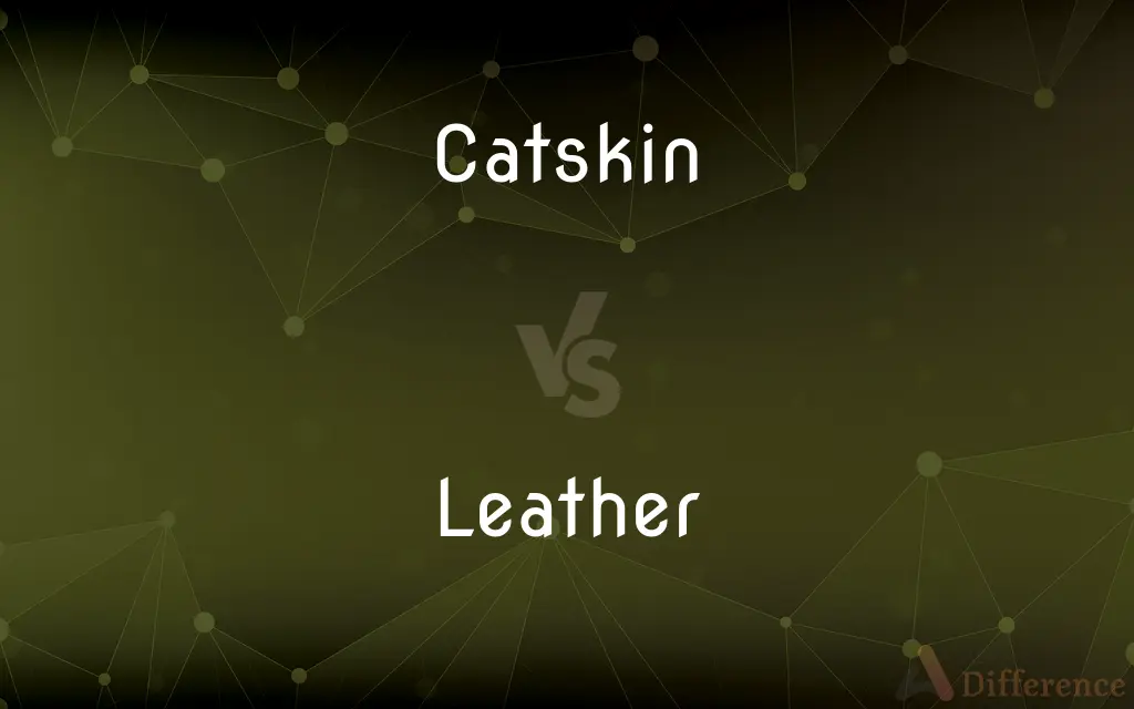 Catskin vs. Leather — What's the Difference?