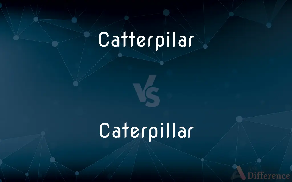Catterpilar vs. Caterpillar — Which is Correct Spelling?