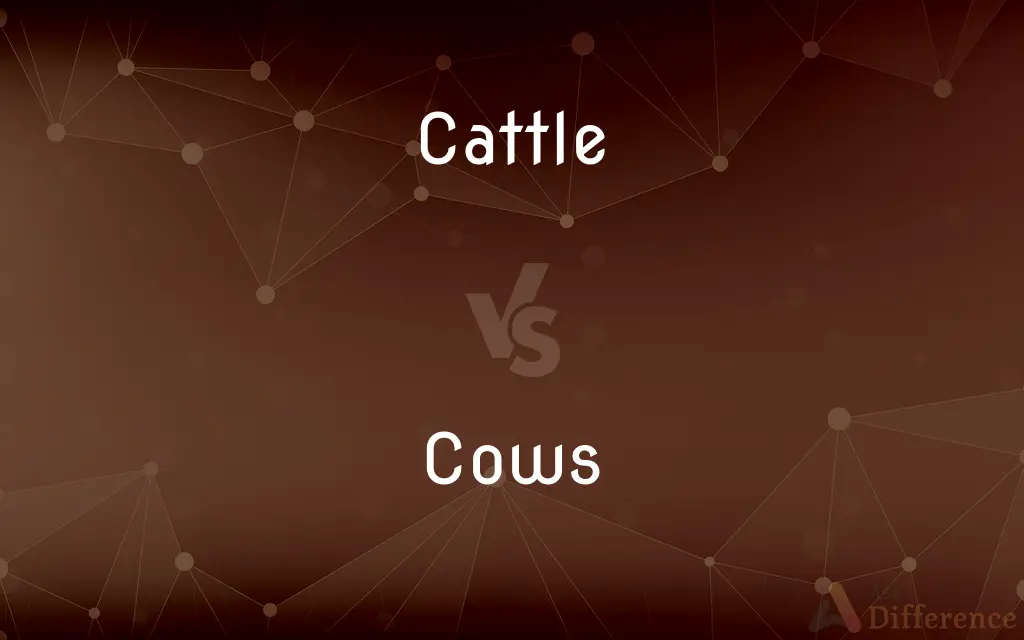 Cattle vs. Cows — What's the Difference?