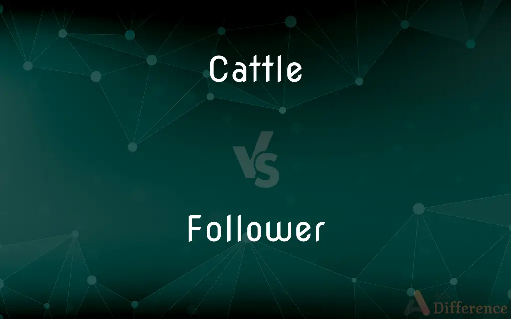 Cattle vs. Follower — What's the Difference?