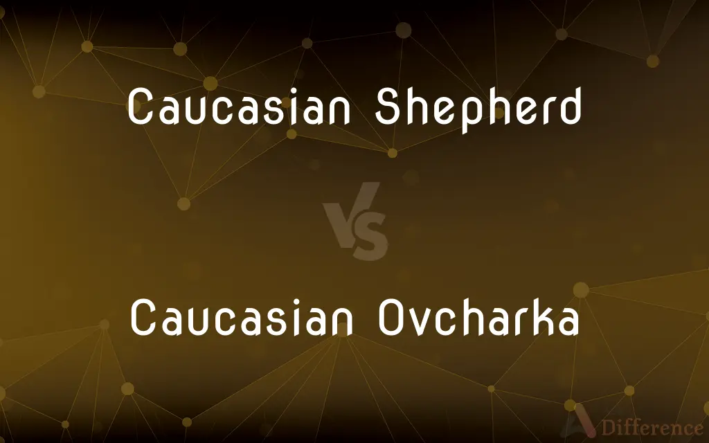 Caucasian Shepherd vs. Caucasian Ovcharka — What's the Difference?