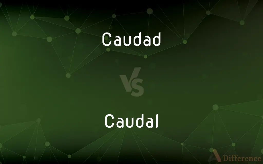 Caudad vs. Caudal — What's the Difference?