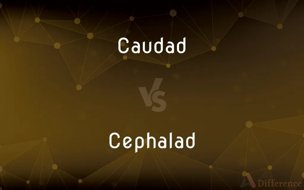Caudad vs. Cephalad — What's the Difference?