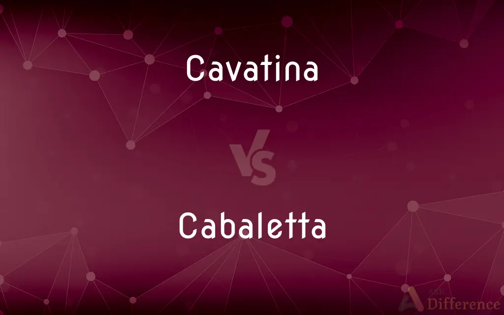 Cavatina vs. Cabaletta — What's the Difference?