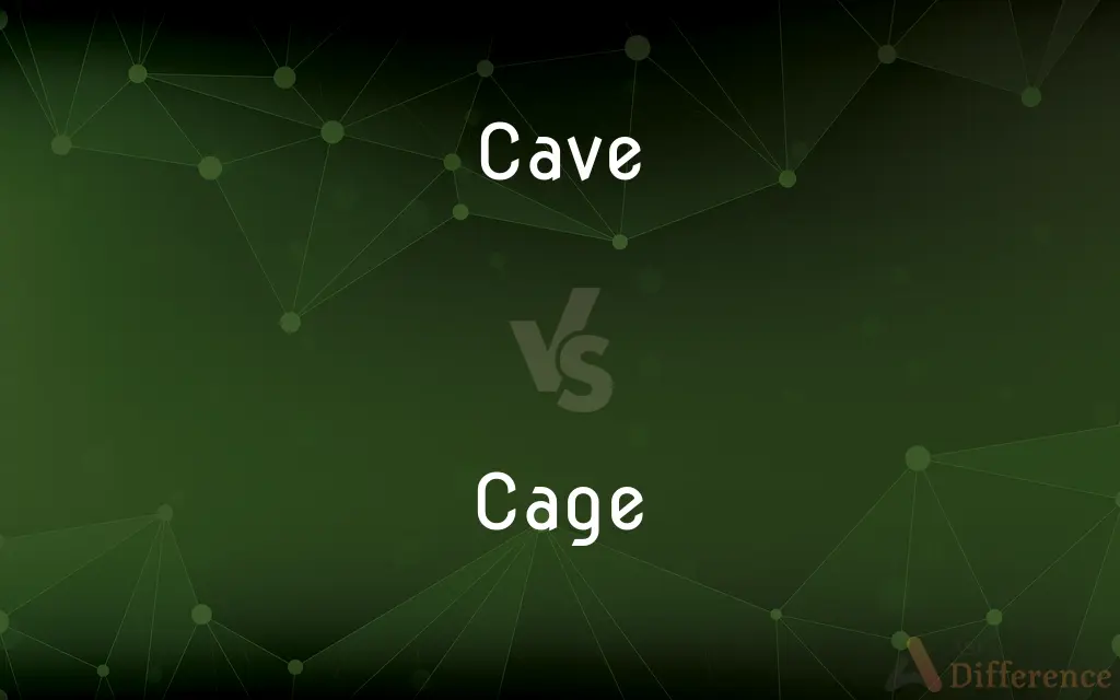 Cave vs. Cage — What's the Difference?