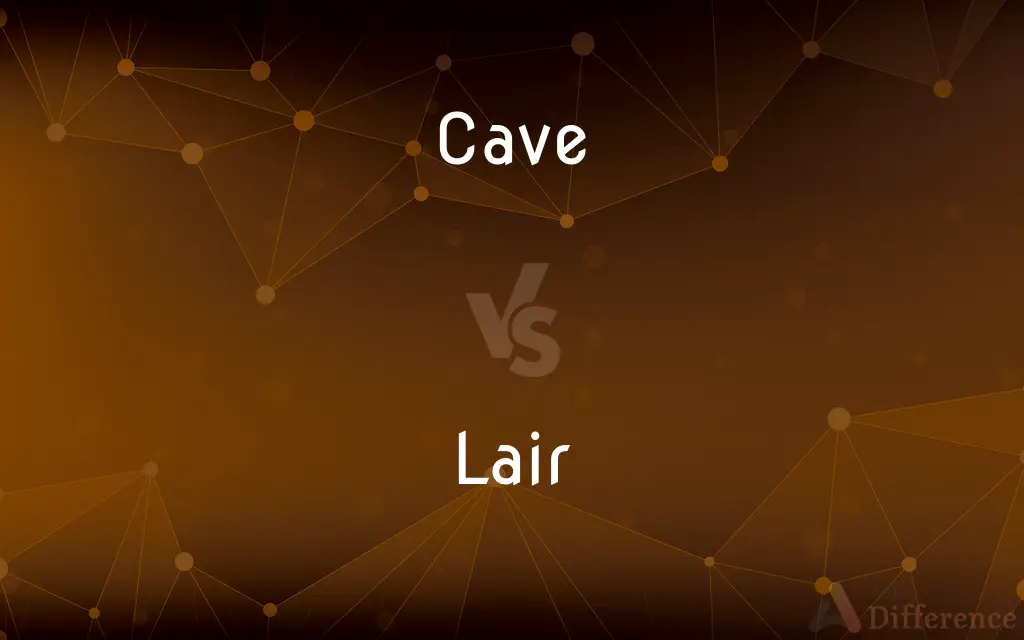 Cave vs. Lair — What's the Difference?
