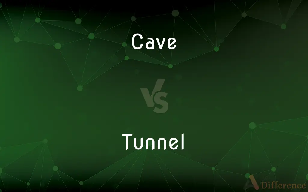 Cave vs. Tunnel — What's the Difference?