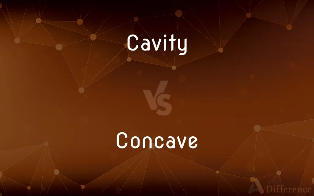 Cavity vs. Concave — What's the Difference?