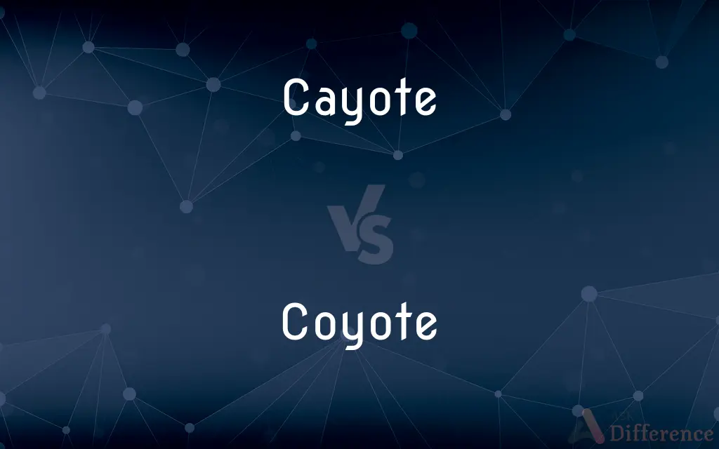 Cayote vs. Coyote — Which is Correct Spelling?