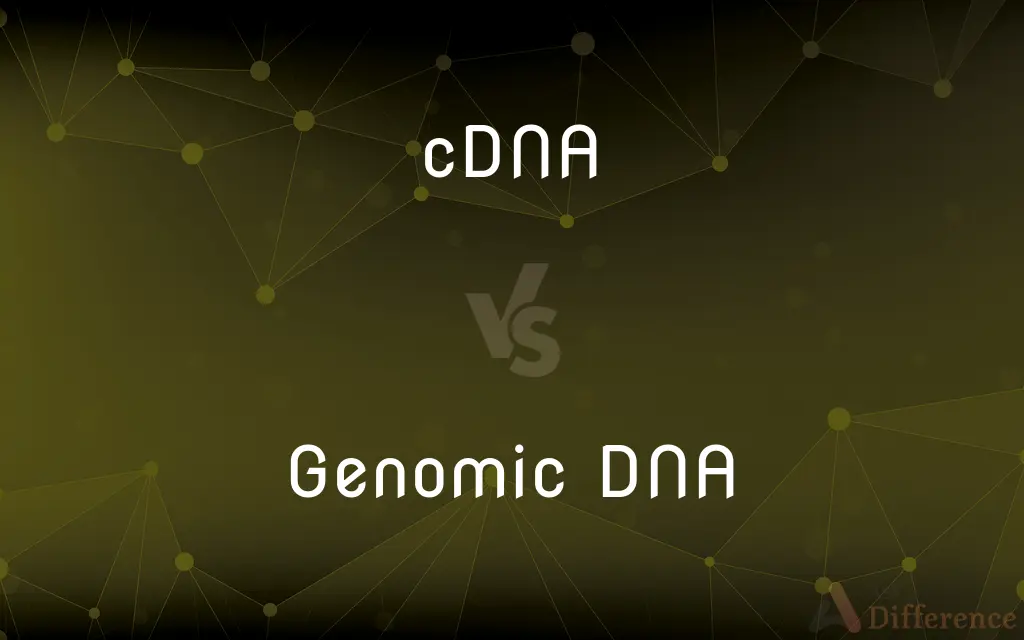 cDNA vs. Genomic DNA — What's the Difference?