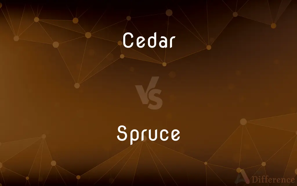 Cedar vs. Spruce — What's the Difference?
