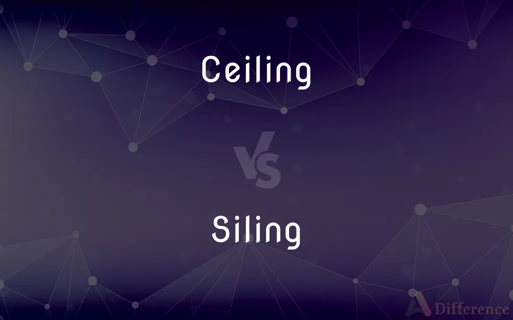 Ceiling vs. Siling — Which is Correct Spelling?