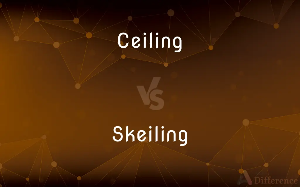 Ceiling vs. Skeiling — What's the Difference?