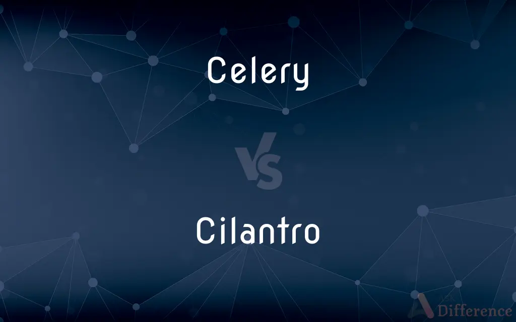 Celery vs. Cilantro — What's the Difference?