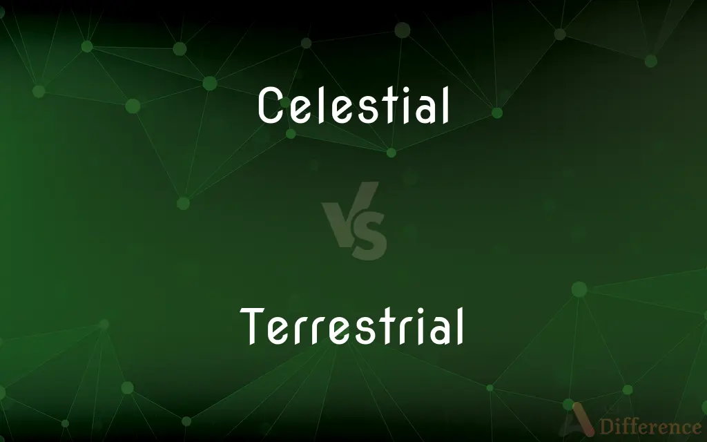 Celestial vs. Terrestrial — What's the Difference?