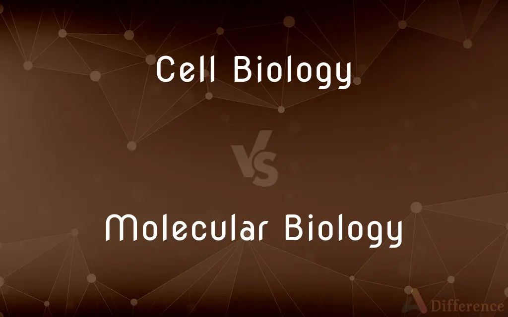 Cell Biology vs. Molecular Biology — What's the Difference?