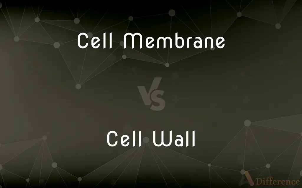 Cell Membrane vs. Cell Wall — What's the Difference?