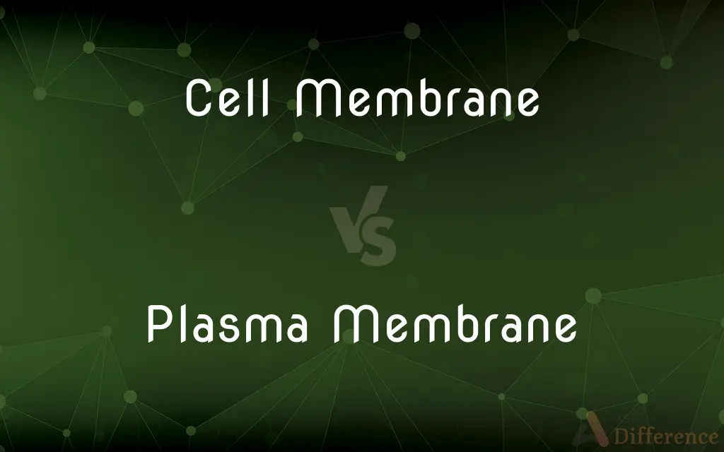 Cell Membrane vs. Plasma Membrane