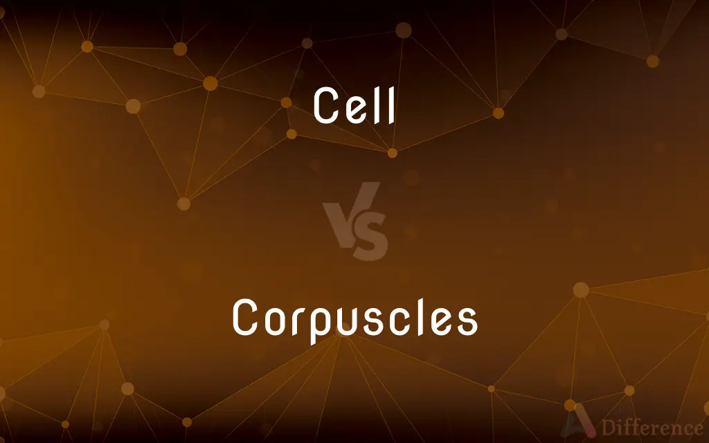 Cell vs. Corpuscles — What's the Difference?