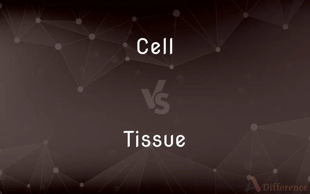 Cell vs. Tissue — What's the Difference?