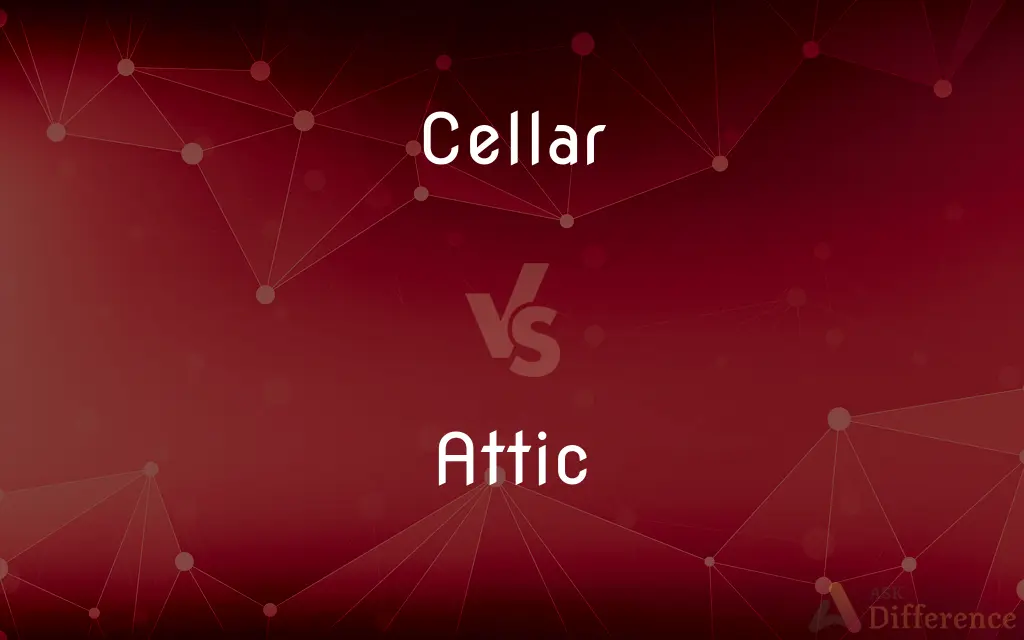 Cellar vs. Attic — What's the Difference?