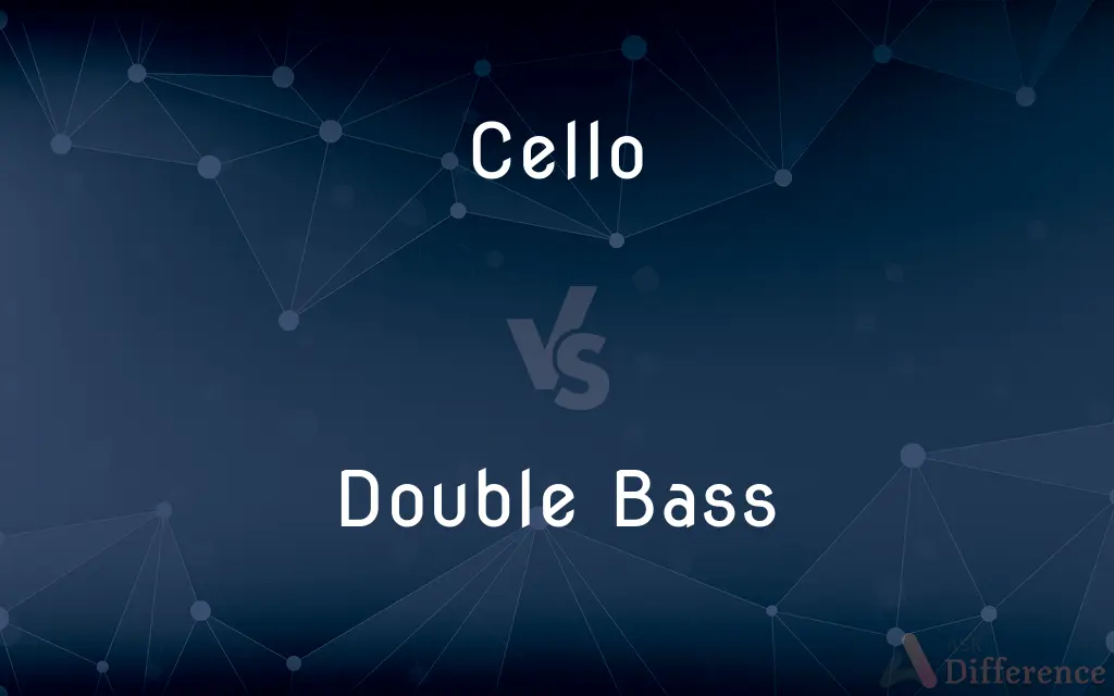 Cello vs. Double Bass — What's the Difference?