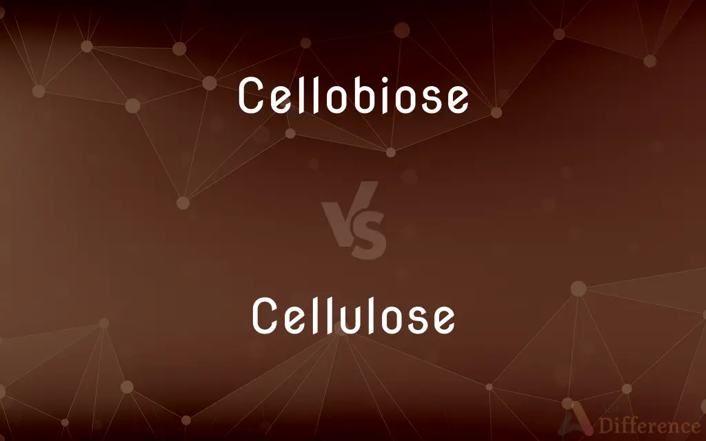 Cellobiose vs. Cellulose — What's the Difference?
