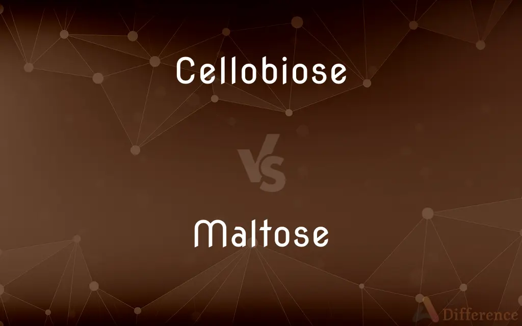 Cellobiose vs. Maltose — What's the Difference?