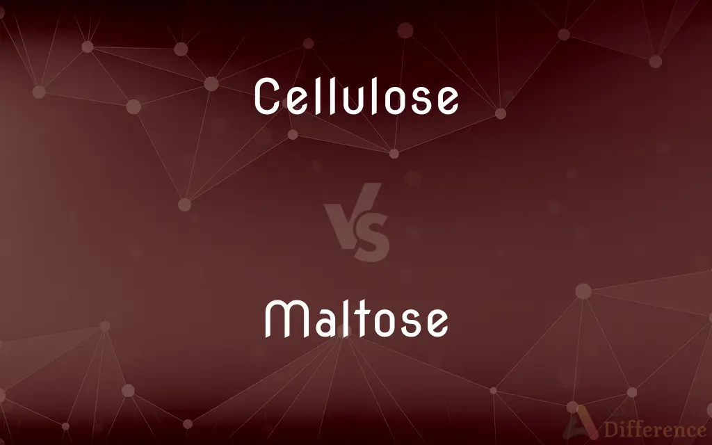 Cellulose vs. Maltose — What's the Difference?