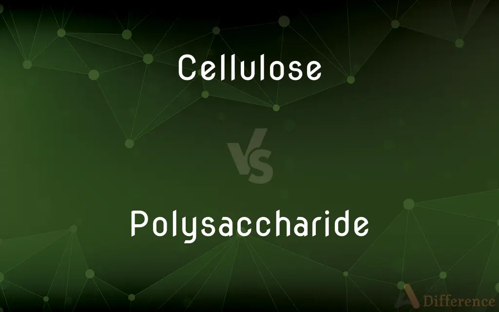 Cellulose vs. Polysaccharide — What's the Difference?