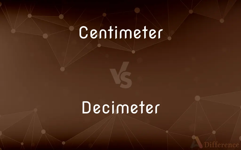 Centimeter vs. Decimeter — What's the Difference?