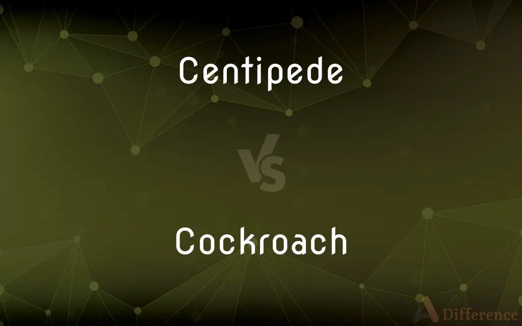Centipede vs. Cockroach — What's the Difference?