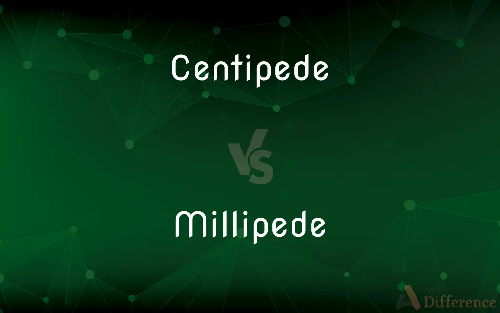 Centipede vs. Millipede — What's the Difference?