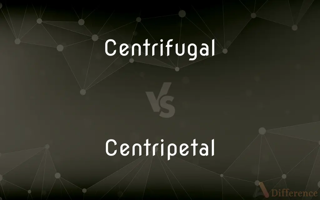 Centrifugal vs. Centripetal — What's the Difference?