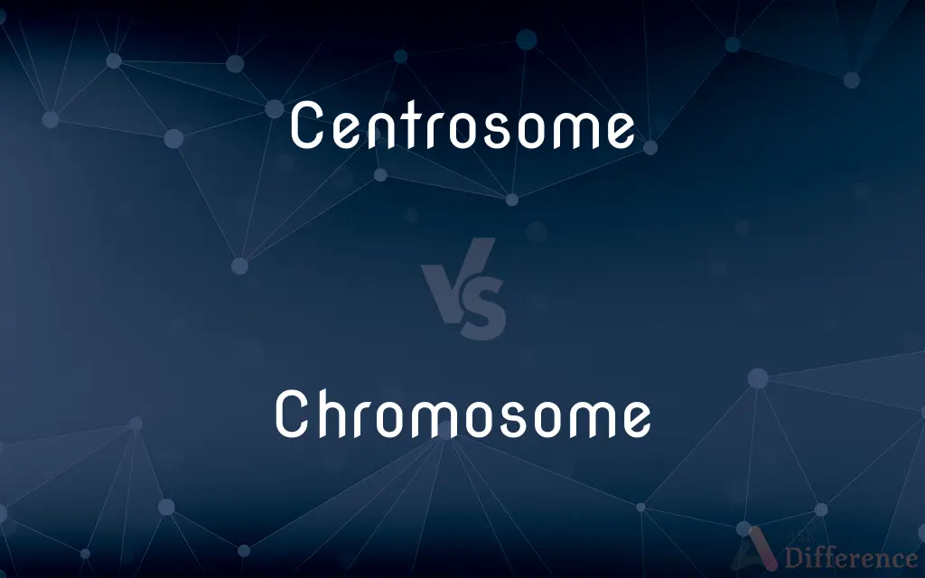Centrosome vs. Chromosome — What's the Difference?