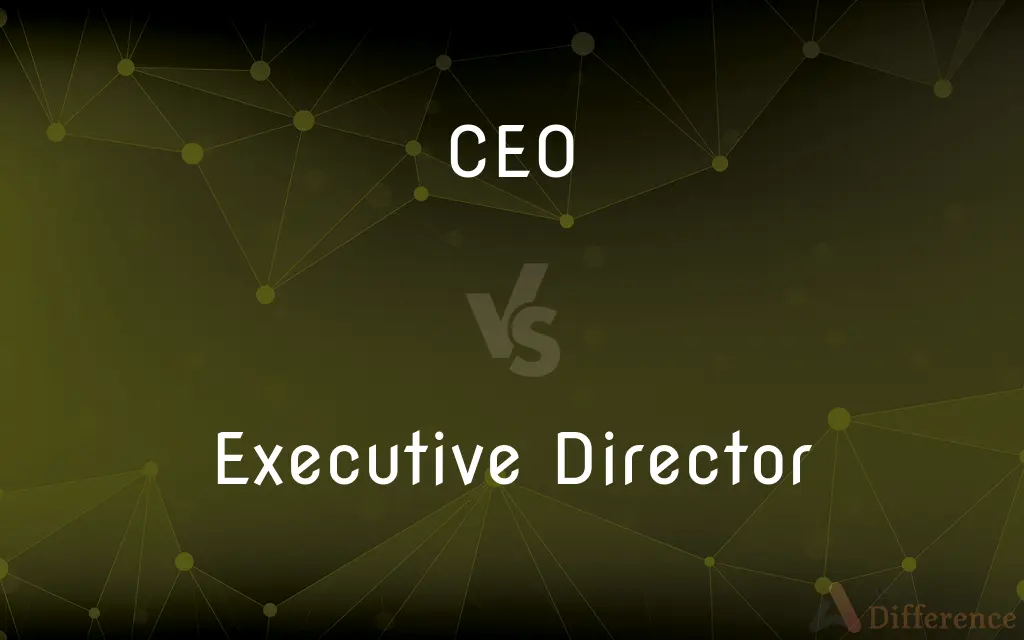 CEO vs. Executive Director — What's the Difference?
