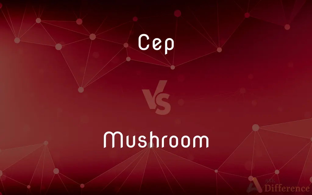 Cep vs. Mushroom — What's the Difference?