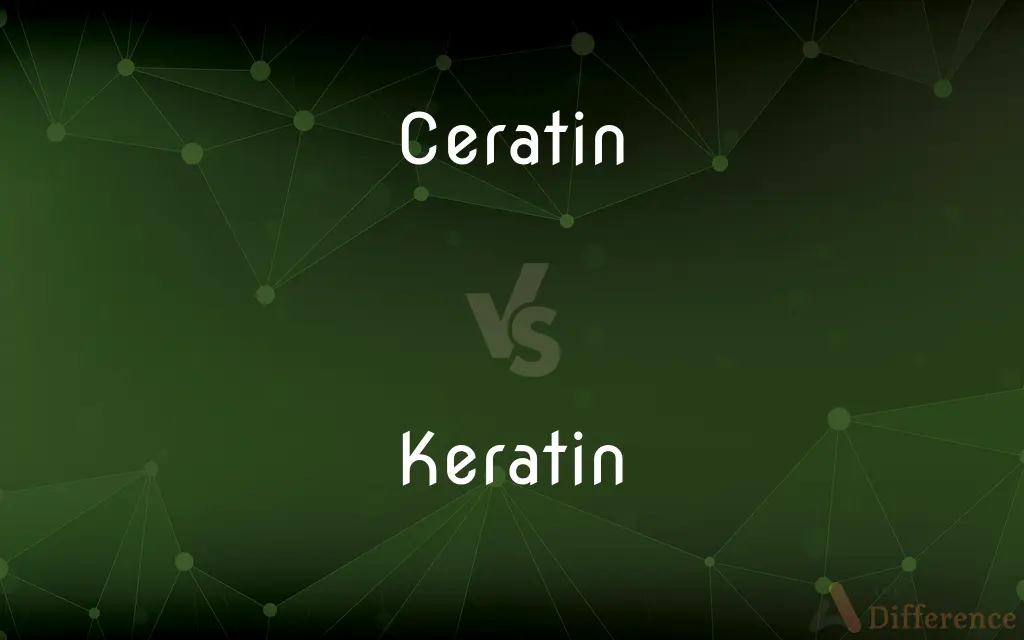 Ceratin vs. Keratin — What's the Difference?