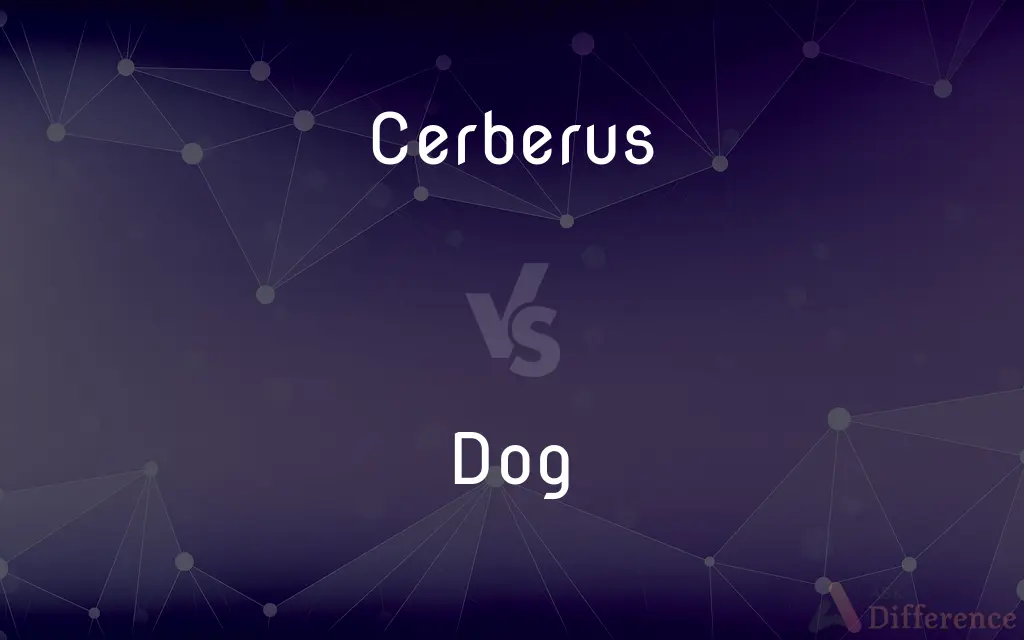 Cerberus vs. Dog — What's the Difference?