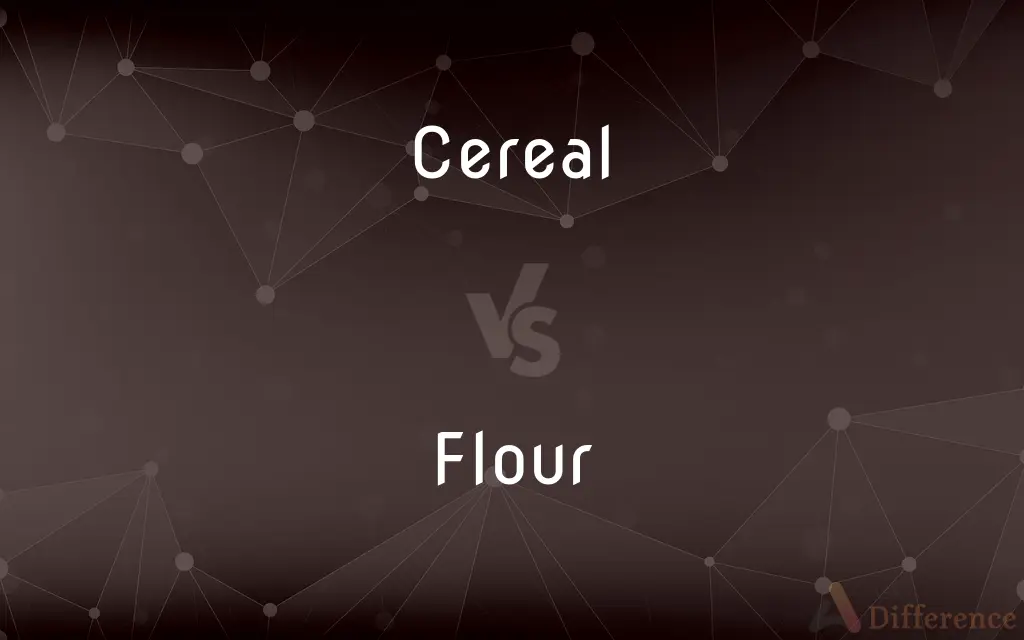Cereal vs. Flour — What's the Difference?