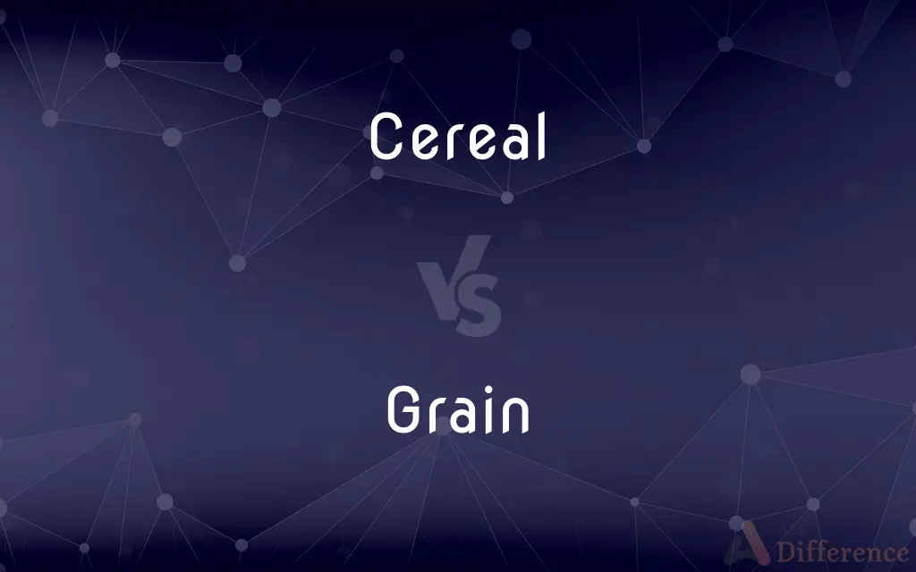 Cereal vs. Grain — What's the Difference?