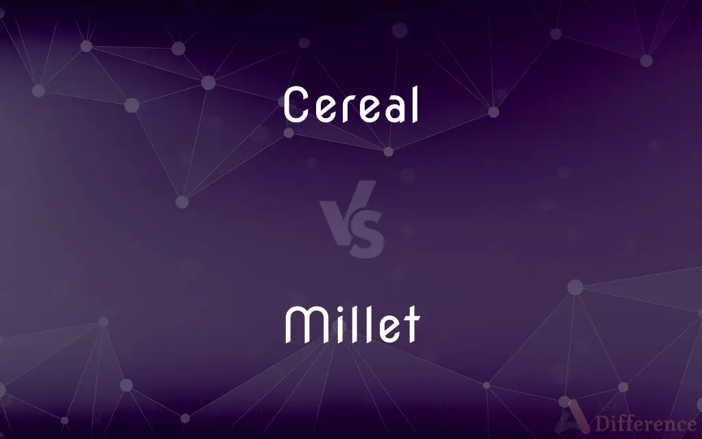 Cereal vs. Millet — What's the Difference?