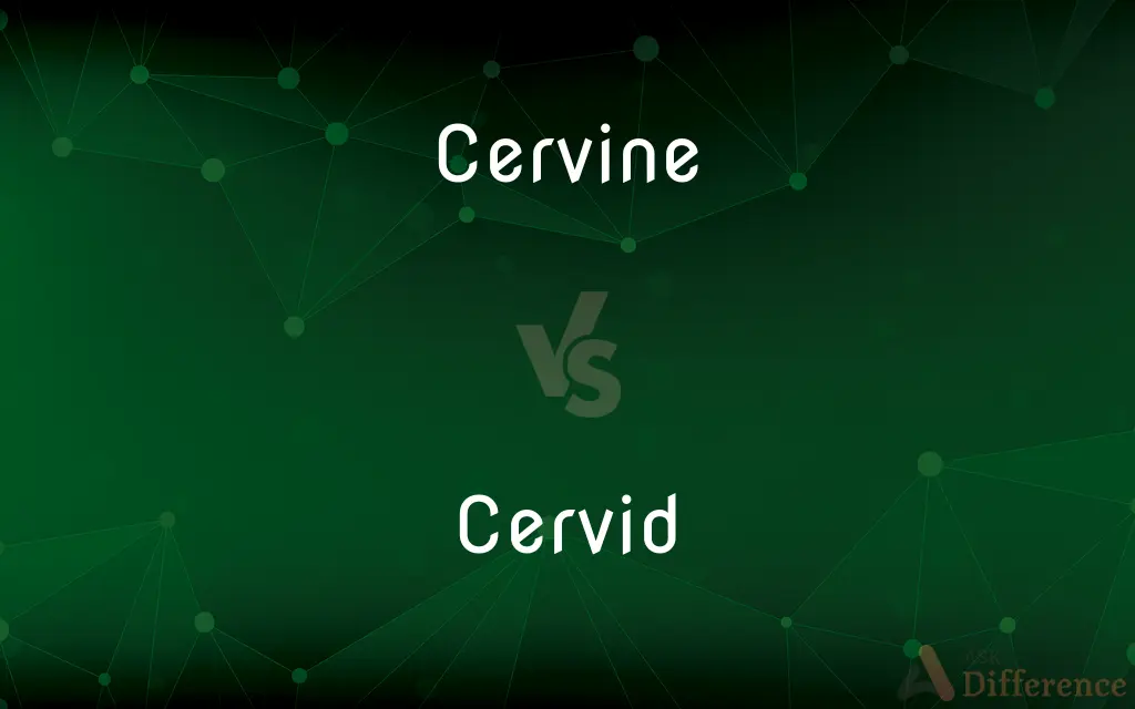 Cervine vs. Cervid — What's the Difference?