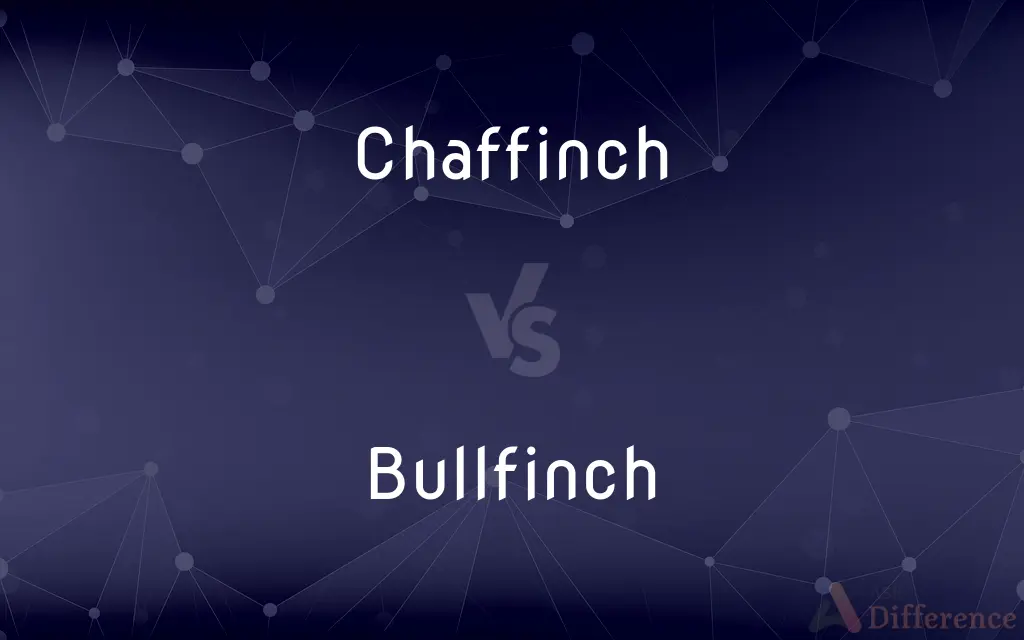 Chaffinch vs. Bullfinch — What's the Difference?