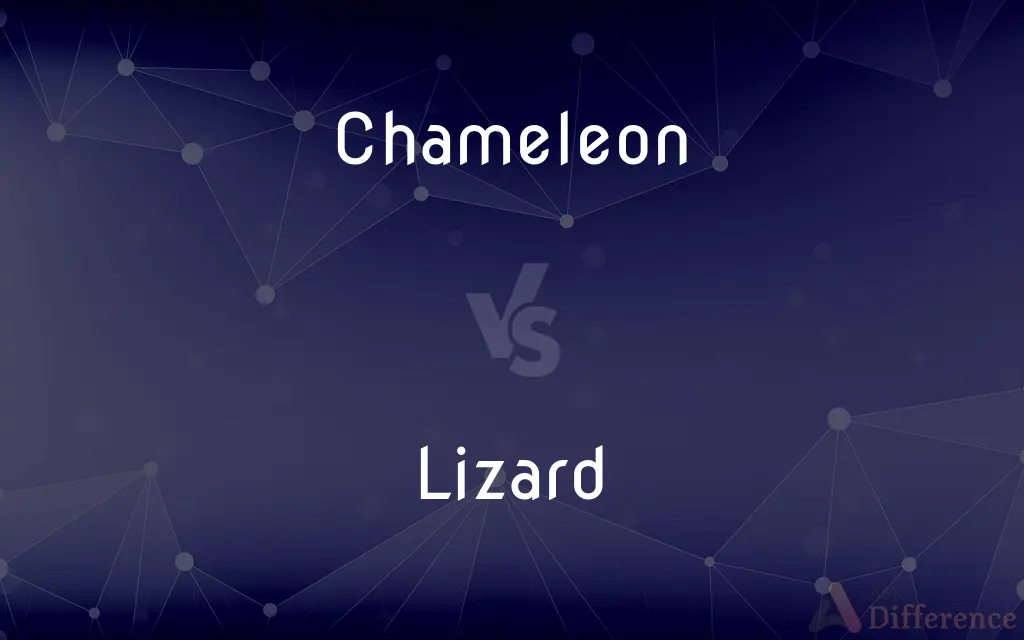 Chameleon vs. Lizard — What's the Difference?