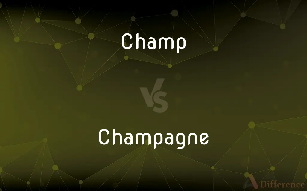 Champ vs. Champagne — What's the Difference?