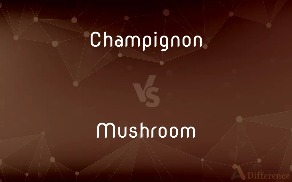 Champignon vs. Mushroom — What's the Difference?