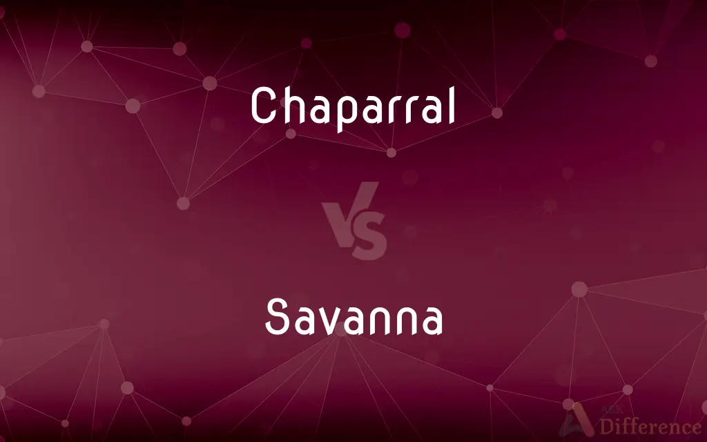 Chaparral vs. Savanna — What's the Difference?