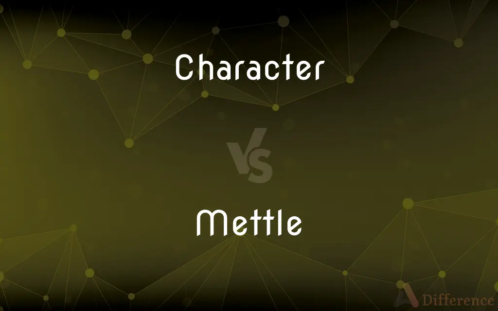 Character vs. Mettle — What's the Difference?